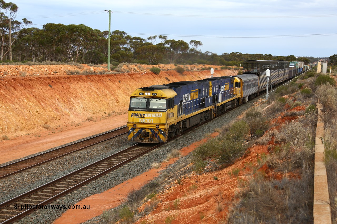 160524 3736
West Kalgoorlie, 2PM6 intermodal train splits the outer home signal posts #4 and #6 as it arrives behind Goninan built GE model Cv40-9i NR class units NR 101 serial 7250-07/97-303 and NR 105 serial 7250-08/97-310, originally built for National Rail now in current owner Pacific National livery.
Keywords: NR-class;NR101;Goninan;GE;Cv40-9i;7250-07/97-303;