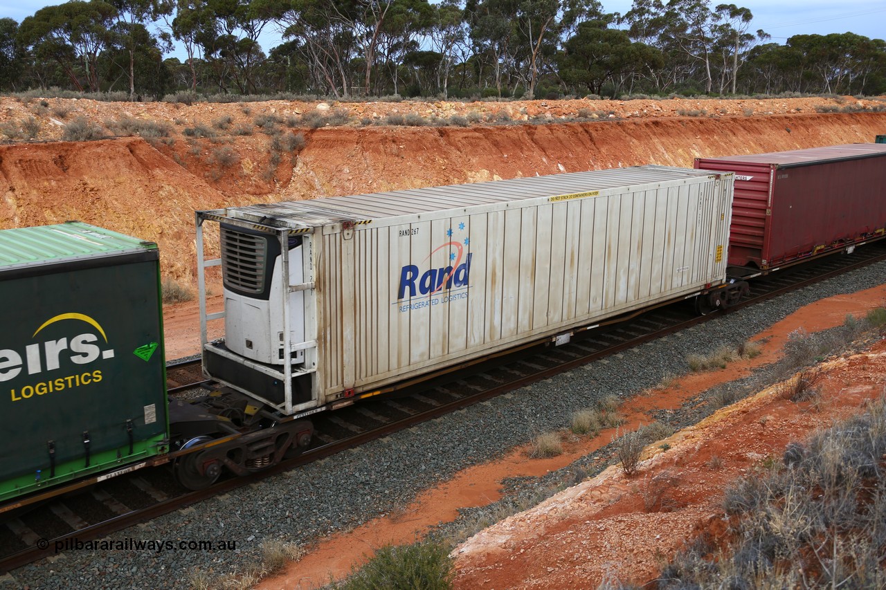 160524 3766
West Kalgoorlie, 2PM6 intermodal train, RRAY 7232 platform 3 of 5-pack articulated skel waggon set, one of 100 built by ABB Engineering NSW 1996-2000, with a 46' RAND Refrigerated Logistic reefer RAND 267.
Keywords: RRAY-type;RRAY7232;ABB-Engineering-NSW;