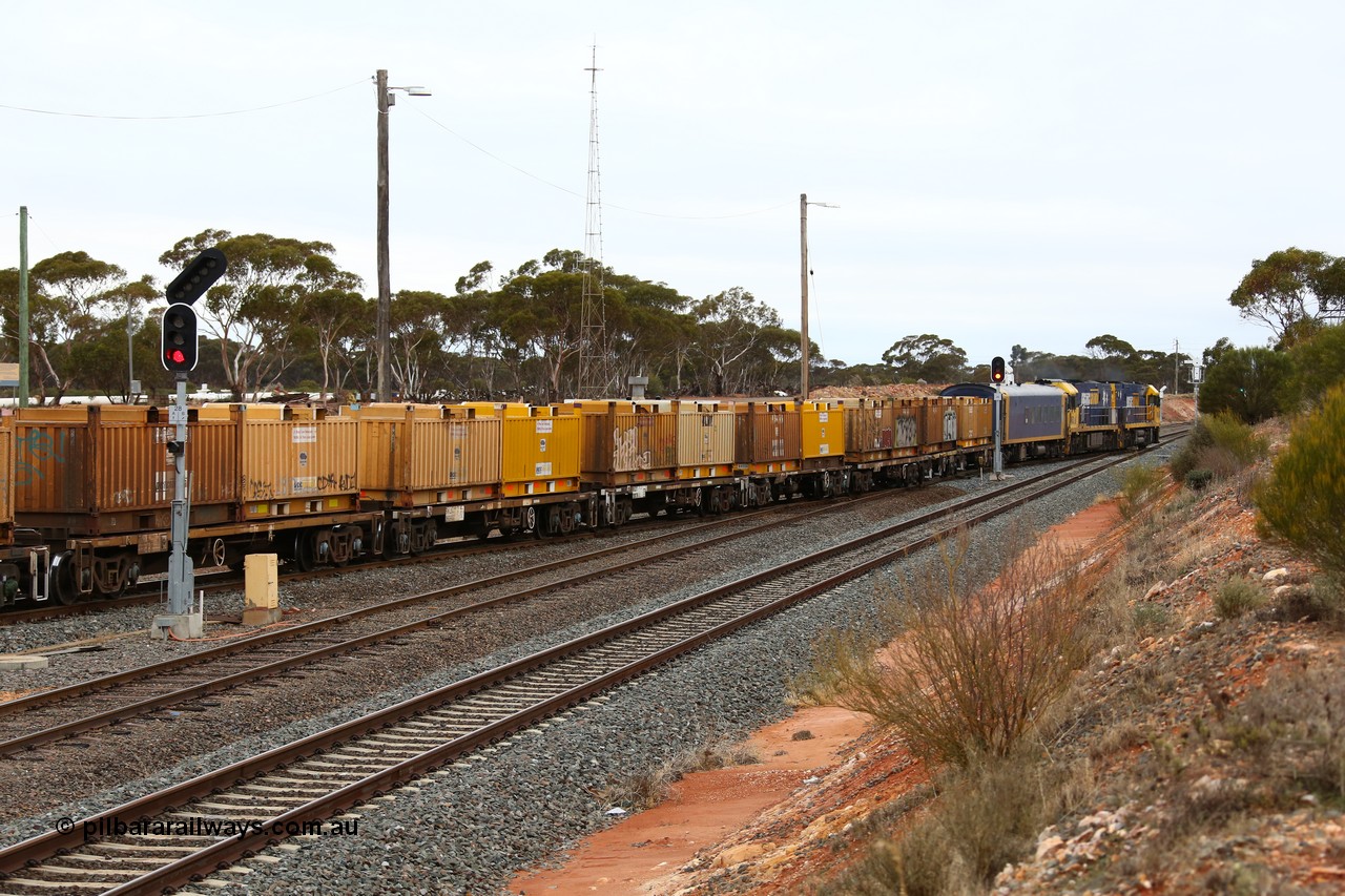 160524 4293
West Kalgoorlie, 1MP2 steel train snakes out of the yard onto the mainline behind a pair of Goninan GE Cv40-9i NR class locomotives with a BRS crew coach and a string of waggons conveying butter boxes of steel coils.
