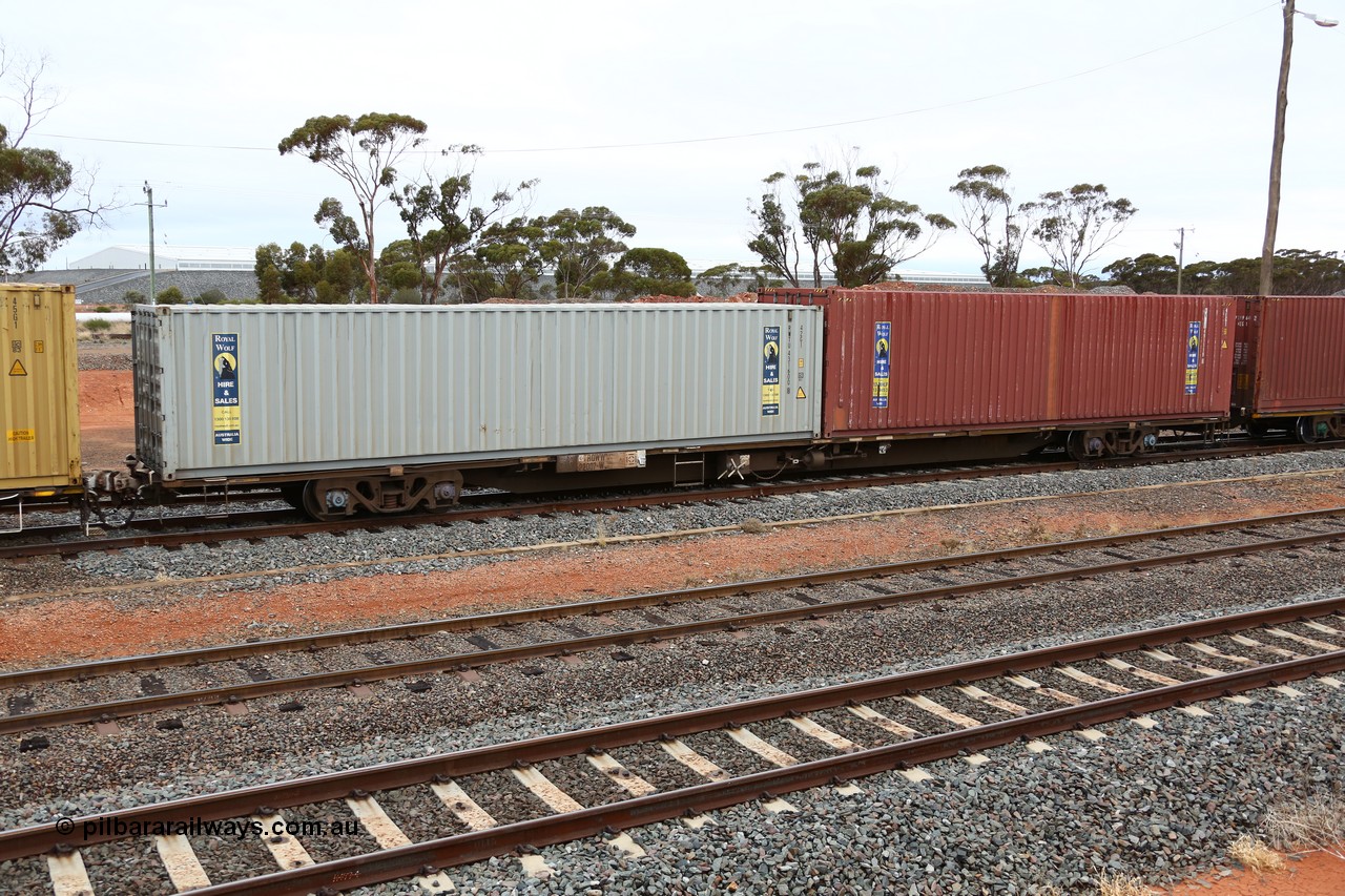 160524 4327
West Kalgoorlie, 1MP2 steel train, RQWW 22007 container waggon, one of thirty two built by Comeng NSW in 1973-75 as JCW type 80' container waggon, recoded to NQTW, then NQWW. These differ from the follow on batches of the JCW type. Loaded with two 40' boxes, Royal Wolf 42G1 type RWTU 431600 and 4EG1 type RWLU 491119.
Keywords: RQWW-type;RQWW22007;Comeng-NSW;JCW-type;NQTW-type;NQWW-type;