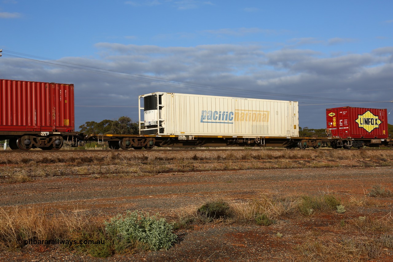 160525 4447
Parkeston, 3PM7 priority service train, RQJW 60025 container waggon, one of fifty built by EPT NSW as NQJW type in 1984-85, with a Pacific National 46' reefer PNXR 4823.
Keywords: RQJW-type;RQJW60025;EPT-NSW;NQJW-type;
