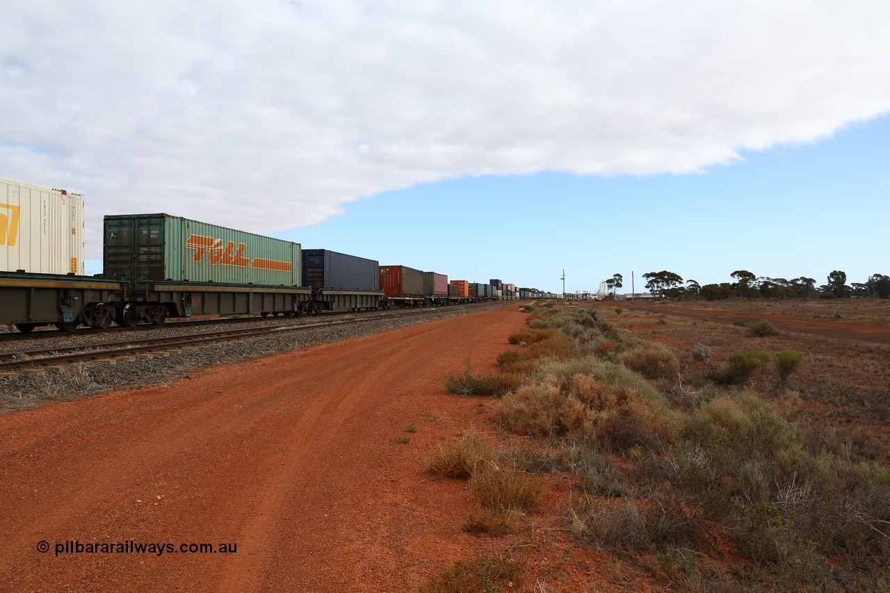 160529 8809
Parkeston, 6MP4 intermodal train, view looking towards the front from RRXY 8 5-pack well waggon set, one of eleven built by Bradken Qld in 2002 for Toll from a Williams-Worley.
Keywords: RRXY-type;RRXY8;Williams-Worley;Bradken-Rail-Qld;