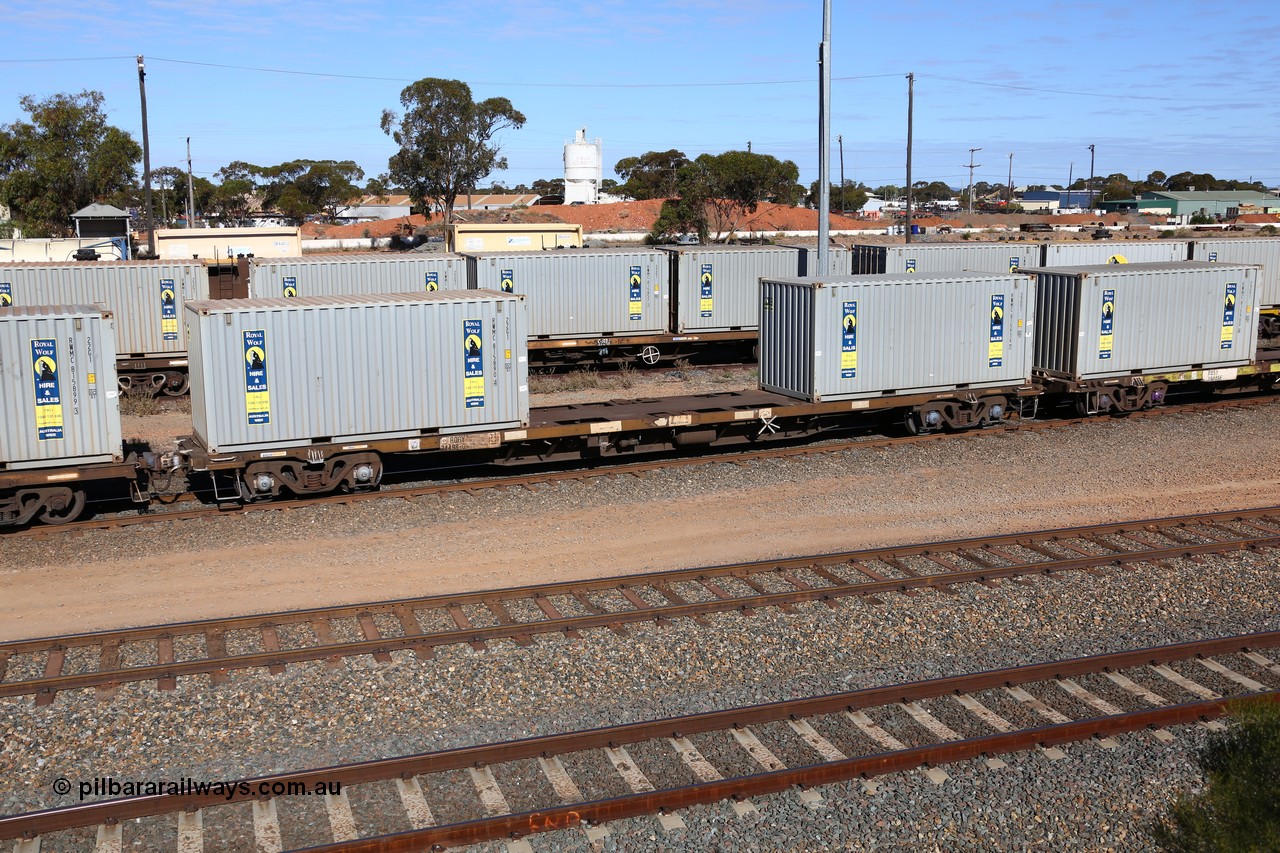 160531 9901
West Kalgoorlie, 1MP2 steel train, container waggon RQGY 34498, one of a hundred built by Tulloch Ltd NSW as OCY type, recoded to NQOY, with two 20' Royal Wolf containers, RWMC 815890 and RWMC 815936.
Keywords: RQGY-type;RQGY34498;Tulloch-Ltd-NSW;OCY-type;NQOY-type;