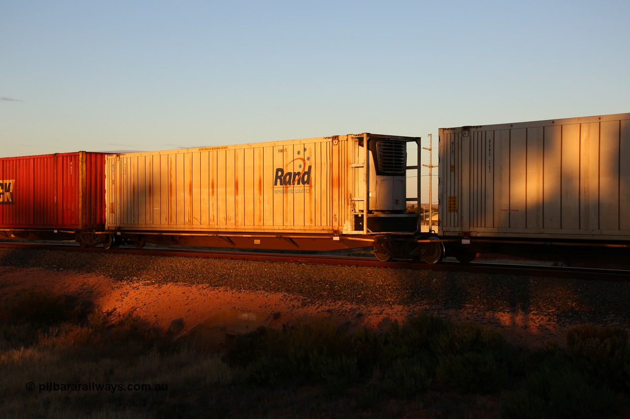 160601 10151
West Kalgoorlie, 2MP5 intermodal train, RRYY 22 platform 4 of 5-pack articulated low profile skel waggon set, one of fifty two such sets built by Bradken Rail Braemar from a Worley-Williams design, based on the TNT TRAY type for moving automotive carrying containers, 46' RAND Refrigerated Logistics reefer RAND 143.
Keywords: RRYY-type;RRYY22;Worley-Williams;Bradken-NSW;