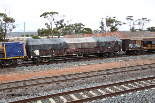 160524 4312
West Kalgoorlie, 1MP2 steel train, RKCX type open waggon RKCX 64, originally built by Victorian Railways Newport Workshops as ELF type open waggon in 1963, later recoded to ELX. Recoded to VOCX in 1978, VOFX in 1978, 1994 to ROBX then 1995 for current code. V/LINE name still visible under Pacific National tarp.
Keywords: RKCX-type;RKCX64;Victorian-Railways-Newport-WS;ELX-type;VOCX-type;VOFX-type;ROBX-type;