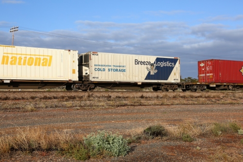 160525 4464
Parkeston, 3PM7 priority service train, RRAY 7243 platform 1 of 5-pack articulated skel waggon set, one of 100 built by ABB Engineering NSW 1996-2000, 40' deck with a 40' PLUS Breeze Logistics reefer BRZC 7.
Keywords: RRAY-type;RRAY7243;ABB-Engineering-NSW;