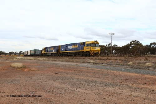 160526 5253
Parkeston, 3MP7 priority service train runs upgrade around the curve bound for Kalgoorlie and Perth behind Goninan built GE model Cv40-9i NR class units NR 82 serial 7250-03/97-284 and NR 49 serial 7250-08/97-251.
Keywords: NR-class;NR82;Goninan;GE;Cv40-9i;7250-03/97-284;