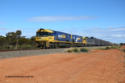 160528 8382
Binduli, intermodal train 6PM6 runs through behind Goninan built GE model Cv40-9i NR class units NR 98 serial 7250-07/97-299 and NR 30 serial 7250-05/97/232, originally built for National Rail now in current owner Pacific National livery.
Keywords: NR-class;NR98;Goninan;GE;Cv40-9i;7250-07/97-299;