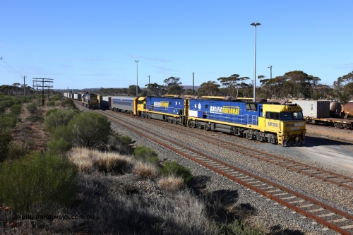 160531 9891
West Kalgoorlie, 1MP2 steel train, NR 100
Keywords: NR-class;NR100;Goninan;GE;Cv40-9i;7250-07/97-304;