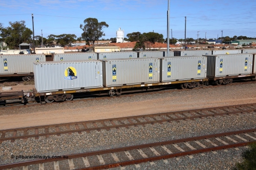 160531 9903
West Kalgoorlie, 1MP2 steel train, container waggon RQTY 48 originally built by SAR at Islington Workshops between 1970-72 as part of a batch of seventy two FQX type container waggons, with three 20' Royal Wolf boxes RWMC 818009, RWMC 815908 and RWMC 815910.
Keywords: RQTY-type;RQTY48;SAR-Islington-WS;FQX-type;