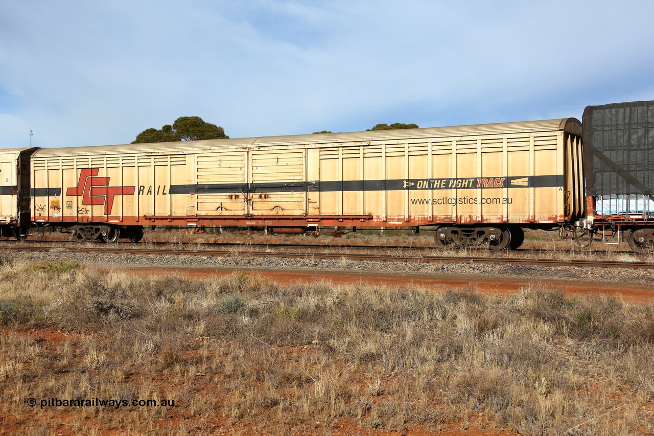 160523 2843
Parkeston, SCT train 7GP1 which operates from Parkes NSW (Goobang Junction) to Perth, ABSY type van ABSY 4431, one of a batch of fifty made by Comeng WA as VFX type 75' covered vans 1977, recoded to ABFX type, seen here with the silver corrugated roof fitted when Gemco WA upgraded it to ABSY type.
Keywords: ABSY-type;ABSY4431;Comeng-WA;VFX-type;ABFX-type;