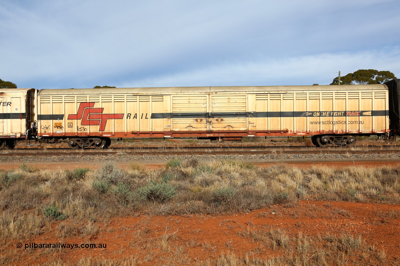 160523 2845
Parkeston, SCT train 7GP1 which operates from Parkes NSW (Goobang Junction) to Perth, ABSY type van ABSY 4431, one of a batch of fifty made by Comeng WA as VFX type 75' covered vans 1977, recoded to ABFX type, seen here with the silver corrugated roof fitted when Gemco WA upgraded it to ABSY type.
Keywords: ABSY-type;ABSY4431;Comeng-WA;VFX-type;ABFX-type;