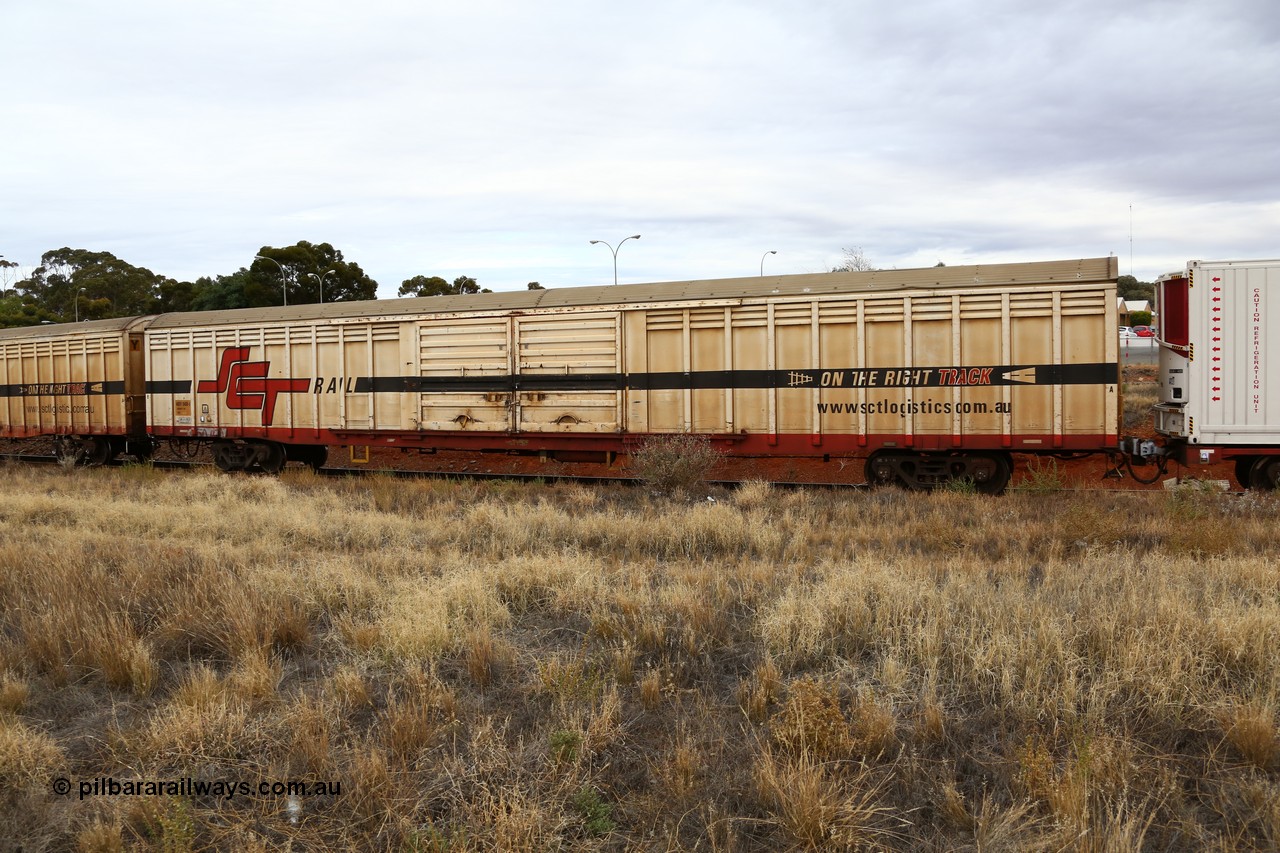 160524 3678
Kalgoorlie, SCT train 2PM9 operating from Perth to Melbourne, ABSY type ABSY 2469 covered van, originally built by Mechanical Handling Ltd SA in 1972 for Commonwealth Railways as VFX type recoded to ABFX and then RBFX to SCT as ABFY before being converted by Gemco WA to ABSY type in 2004/05.
Keywords: ABSY-type;ABSY2469;Mechanical-Handling-Ltd-SA;VFX-type;ABFY-type;