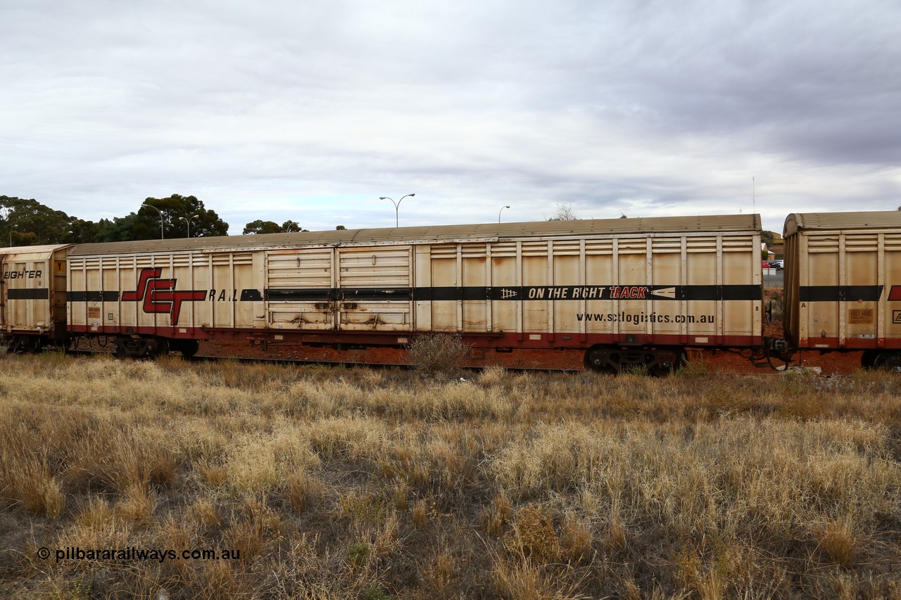 160524 3709
Kalgoorlie, SCT train 2PM9 operating from Perth to Melbourne, ABSY type ABSY 2479 covered van, originally built by Mechanical Handling Ltd SA in 1972 for Commonwealth Railways as VFX type recoded to ABFX and then RBFX before being converted by Gemco WA to ABSY type in 2004/05.
Keywords: ABSY-type;ABSY2479;Mechanical-Handling-Ltd-SA;VFX-type;ABFY-type;
