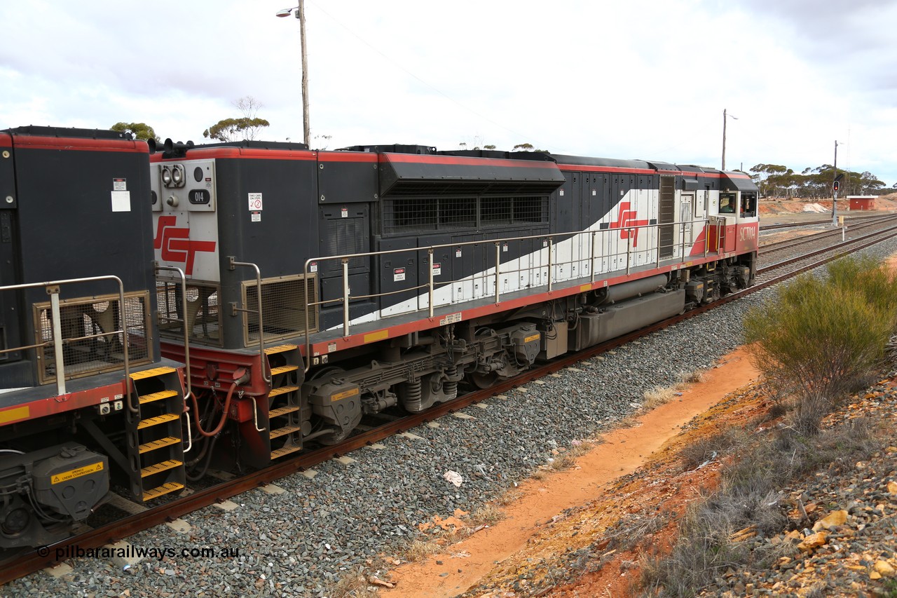 160526 5280
West Kalgoorlie, SCT train 3MP9 operating from Melbourne to Perth, with 76 waggons for 5709.8 tonnes and 1795 metres with EDI Downer built EMD model GT46C-ACe unit SCT 014 serial 08-1738 on the point with sister unit SCT 012 as they hold the mainline in West Kalgoorlie waiting for the Prospector railcar to cross.
Keywords: SCT-class;SCT014;08-1738;EDI-Downer;EMD;GT46C-ACe;