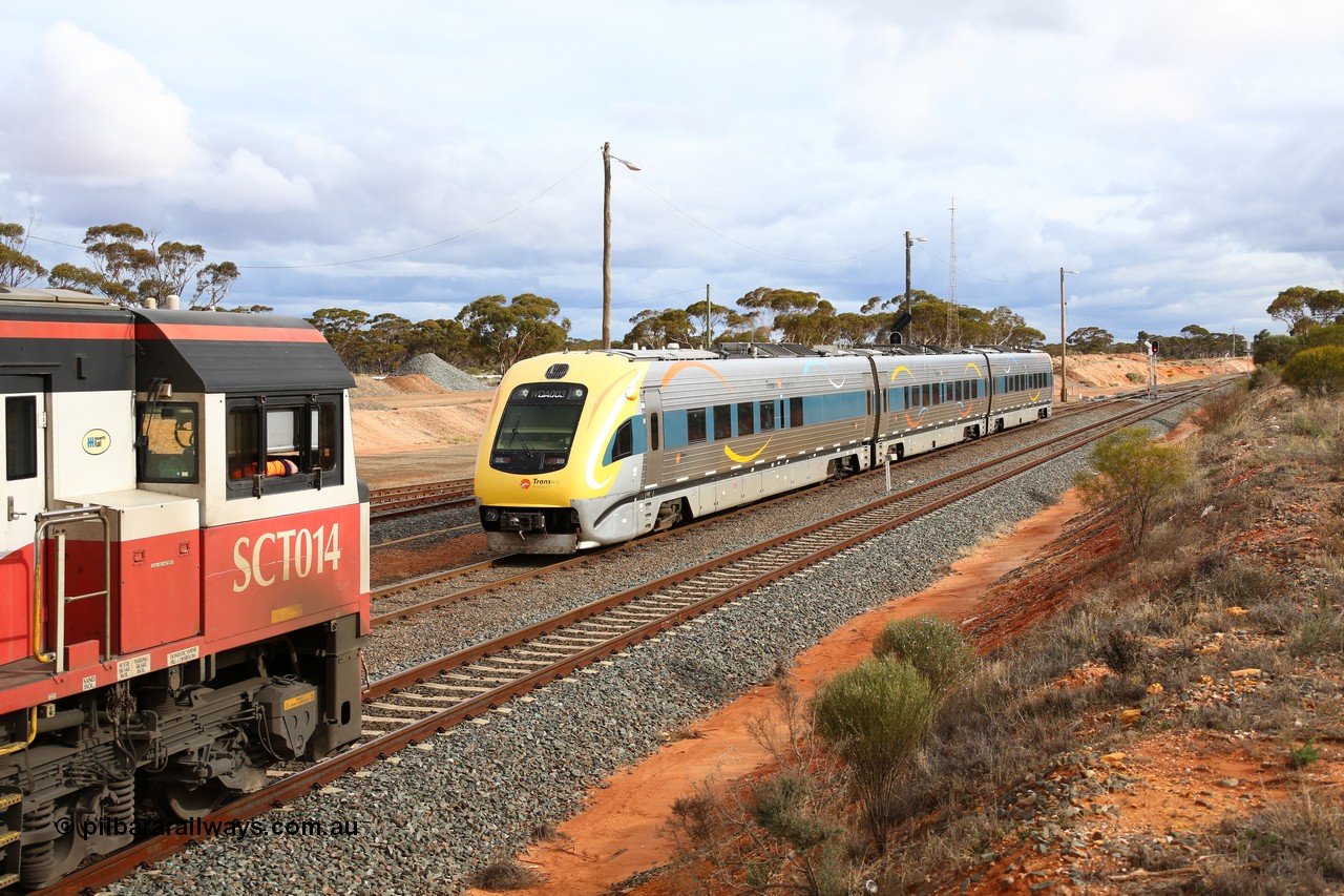160526 5287
West Kalgoorlie, SCT train 3MP9 operating from Melbourne to Perth, with 76 waggons for 5709.8 tonnes and 1795 metres with EDI Downer built EMD model GT46C-ACe unit SCT 014 serial 08-1738 on the point holds the mainline as the Kalgoorlie bound Prospector three car set led by WDA 003 passes on the loop.
Keywords: SCT-class;SCT014;EDI-Downer;EMD;GT46C-ACe;08-1738;