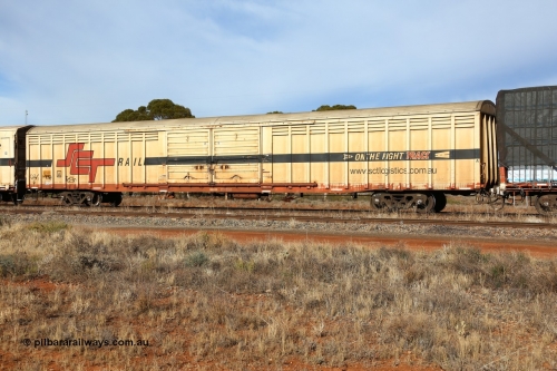 160523 2843
Parkeston, SCT train 7GP1 which operates from Parkes NSW (Goobang Junction) to Perth, ABSY type van ABSY 4431, one of a batch of fifty made by Comeng WA as VFX type 75' covered vans 1977, recoded to ABFX type, seen here with the silver corrugated roof fitted when Gemco WA upgraded it to ABSY type.
Keywords: ABSY-type;ABSY4431;Comeng-WA;VFX-type;ABFX-type;