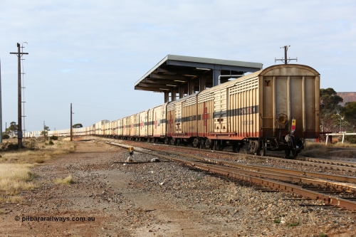 160525 4630
Parkeston, SCT train 3PG1 which operates from Perth to Parkes NSW (Goobang Junction), looking east from the rear with ABSY type ABSY 3089 covered van, originally built by Comeng WA in 1977 for Commonwealth Railways as VFX type, recoded to ABFX and ABFY before conversion by Gemco WA to ABSY.
Keywords: ABSY-type;ABSY3089;Comeng-WA;VFX-type;ABFY-type;