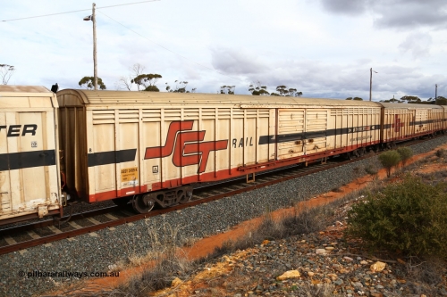 160526 5347
West Kalgoorlie, SCT train 3MP9 operating from Melbourne to Perth, ABSY type ABSY 2499 covered van, originally built by Mechanical Handling Ltd SA in 1972 for Commonwealth Railways as VFX type recoded to ABFX and then RBFX before being converted from ABFY by Gemco WA to ABSY type in 2004/05.
Keywords: ABSY-type;ABSY2499;Mechanical-Handling-Ltd-SA;VFX-type;ABFY-type;