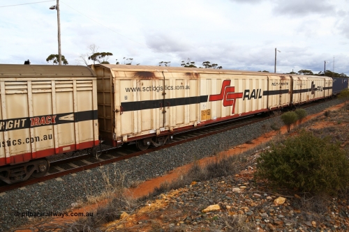 160526 5365
West Kalgoorlie, SCT train 3MP9 operating from Melbourne to Perth, PBGY type covered van PBGY 0091 Multi-Freighter, one of eighty units built by Gemco WA.
Keywords: PBGY-type;PBGY0091;Gemco-WA;