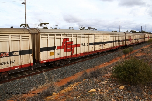 160526 5367
West Kalgoorlie, SCT train 3MP9 operating from Melbourne to Perth, ABSY type ABSY 3121 covered van, originally built by Comeng WA in 1977 for Commonwealth Railways as VFX type, recoded to ABFX and RBFX to SCT as ABFY before conversion by Gemco WA to ABSY in 2004/05.
Keywords: ABSY-type;ABSY3128;Comeng-WA;VFX-type;ABFX-type;