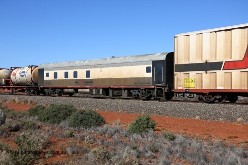 160527 5525
Blamey crossing loop at the 1692 km, SCT train 5PM9 operating from Perth to Melbourne, SCT crew accommodation coach PSDS class PSDS 02279 converted by Gemco WA in 2008 from former Comeng NSW built SDS class sitting car SDS 2280 for the NSWGR.
Keywords: PSDS-class;PSDS02279;Comeng-NSW;SDS-class;