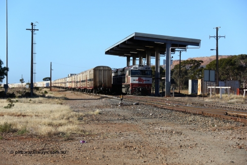 160530 9161
Parkeston, SCT train 7GP1 which operates from Parkes NSW (Goobang Junction) to Perth prepares to depart the mainline behind SCT class SCT 013 serial 08-1737 an EDI Downer built EMD model GT46C-ACe and sister loco SCT 001 with 71 waggons for 5275 tonnes and 1679 metres, as opposing train 1PM9 runs in clear on the loop. May 30, 2016.
Keywords: SCT-class;SCT013;EDI-Downer;EMD;GT46C-ACe;08-1737;
